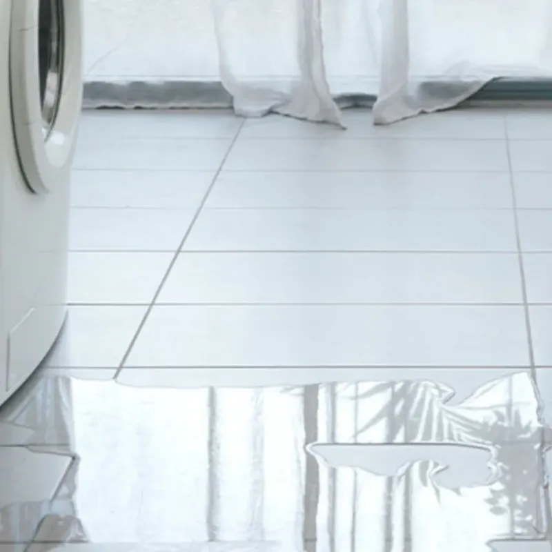 Appliance Leak Cleanup in Jasper County, MO